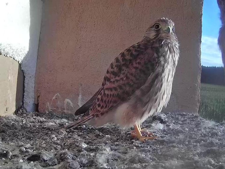 Frame_2021-08-10_07-37-17 07:37