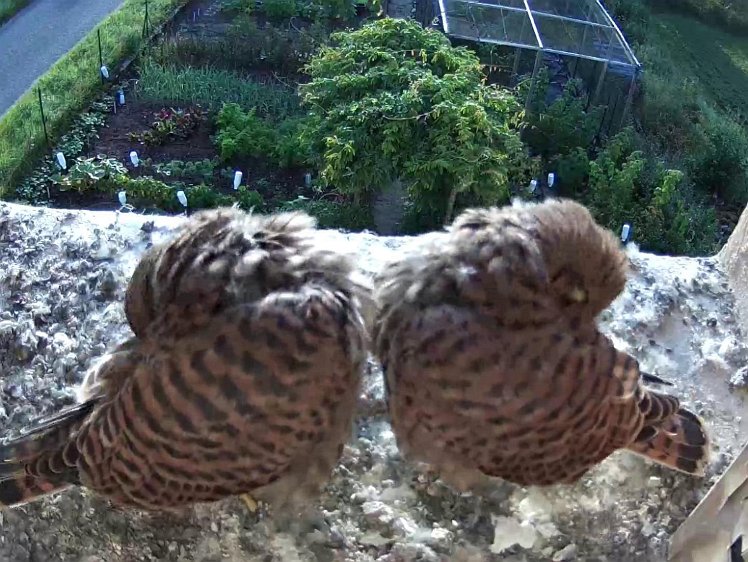 Frame_2021-08-10_07-41-24 07:41