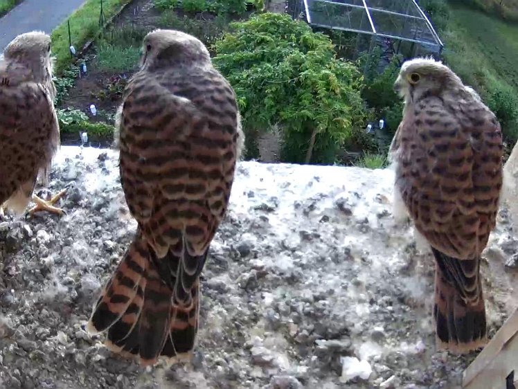 Frame_2021-08-10_07-50-21 07:50