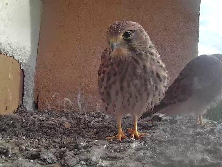 Frame_2021-08-10_07-51-53 07:51