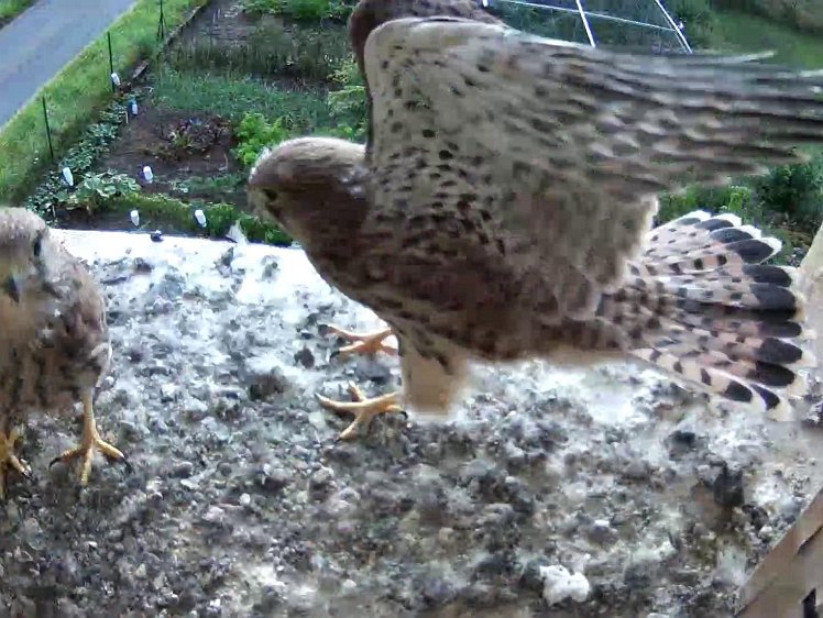 Frame_2021-08-10_07-56-03 07:56