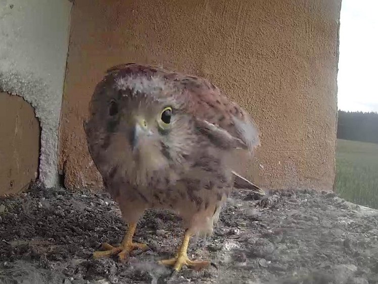 Frame_2021-08-10_08-20-31 08:20