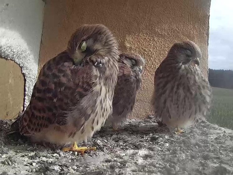 Frame_2021-08-10_09-29-43 09:29