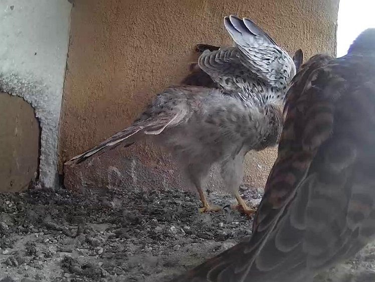 Frame_2021-08-10_09-39-40 09:39