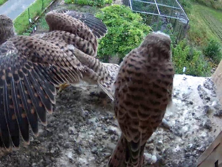 Frame_2021-08-10_09-50-05 09:50