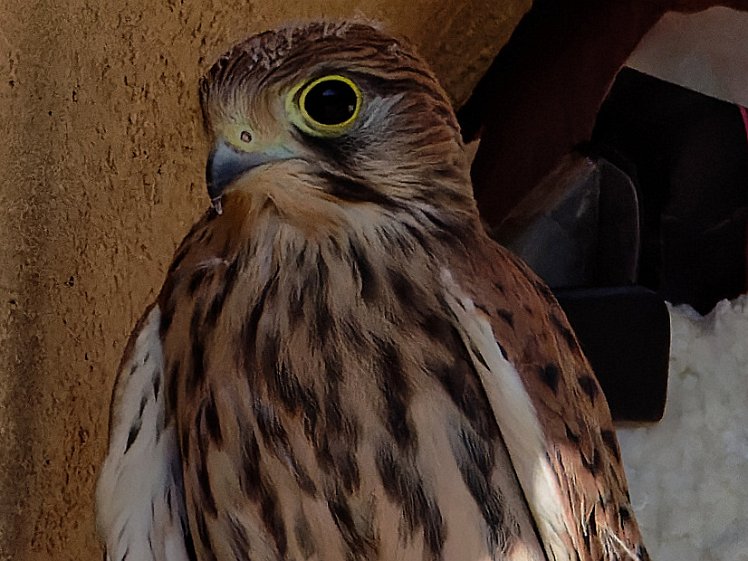 20210811_X8117955_EM1II_DxO-hdr-cr 09:02