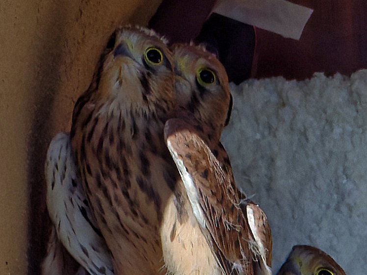 20210811_X8117967_EM1II_DxO-hdr-cr 09:02