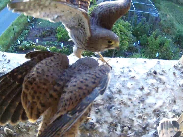 Frame_2021-08-11_07-04-45 07:04