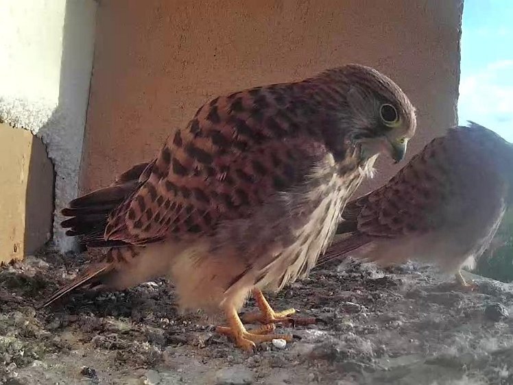 Frame_2021-08-11_07-15-05 07:15