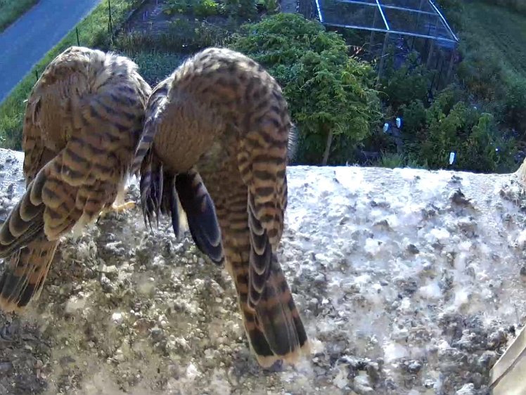 Frame_2021-08-11_07-19-03 07:19