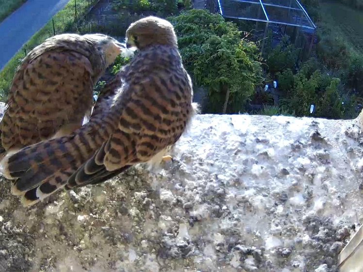 Frame_2021-08-11_07-21-29 07:21