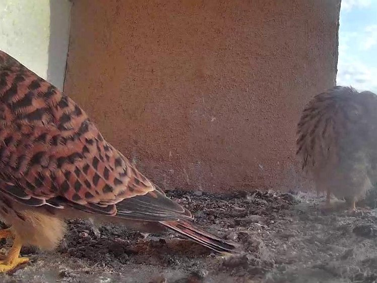 Frame_2021-08-11_07-29-37 07:29