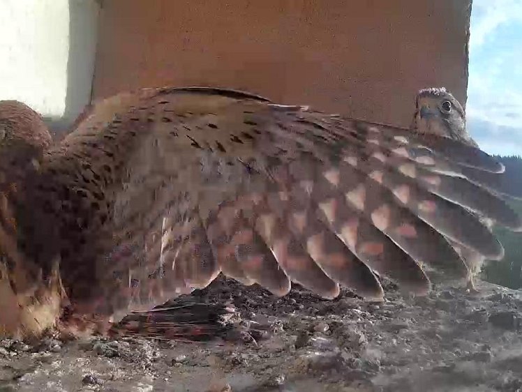 Frame_2021-08-11_07-30-17 07:30