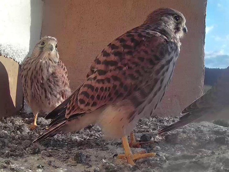 Frame_2021-08-11_07-34-40 07:34