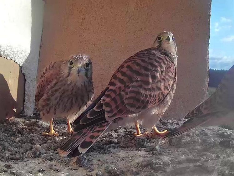 Frame_2021-08-11_07-36-37 07:36