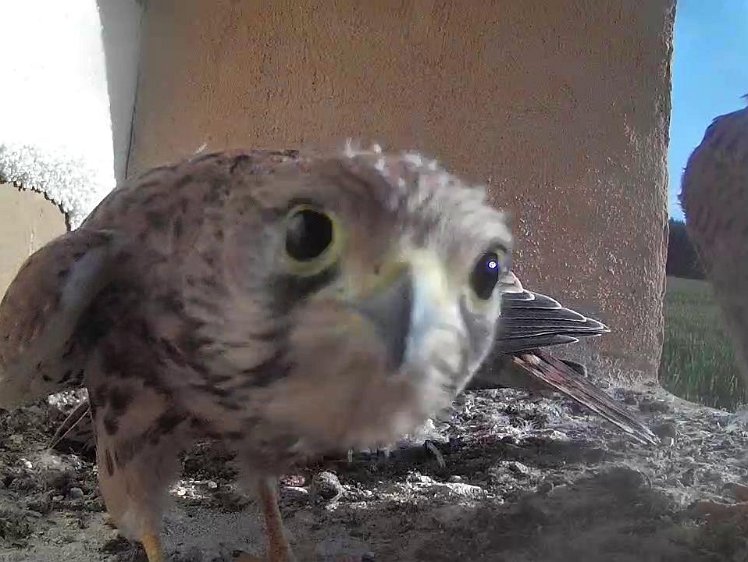 Frame_2021-08-11_08-20-05 08:20