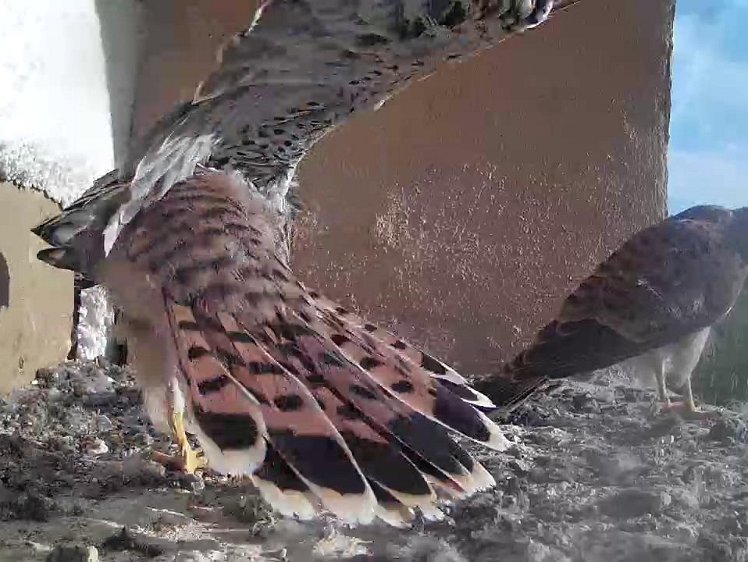 Frame_2021-08-11_08-24-13 08:24