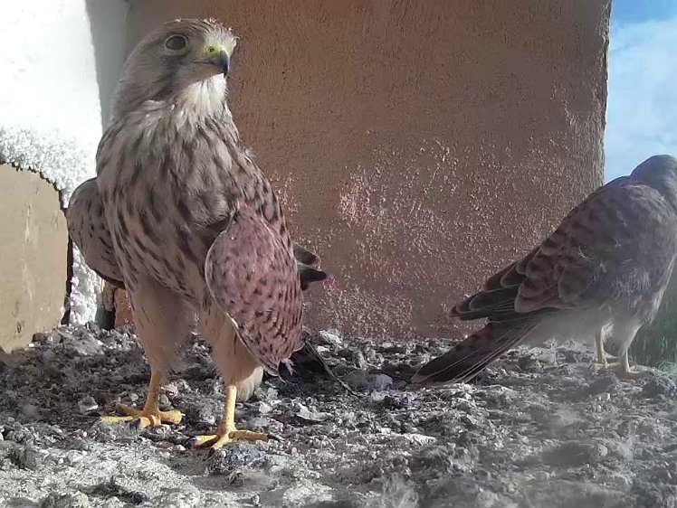 Frame_2021-08-11_08-26-25 08:26