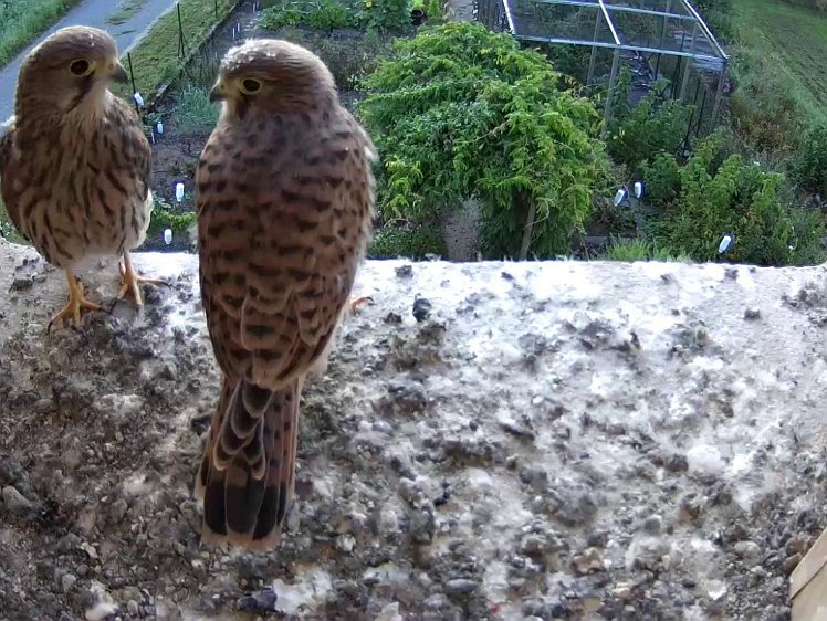 Frame_2021-08-12_06-37-13 06:37