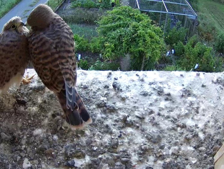 Frame_2021-08-12_06-41-11 06:41