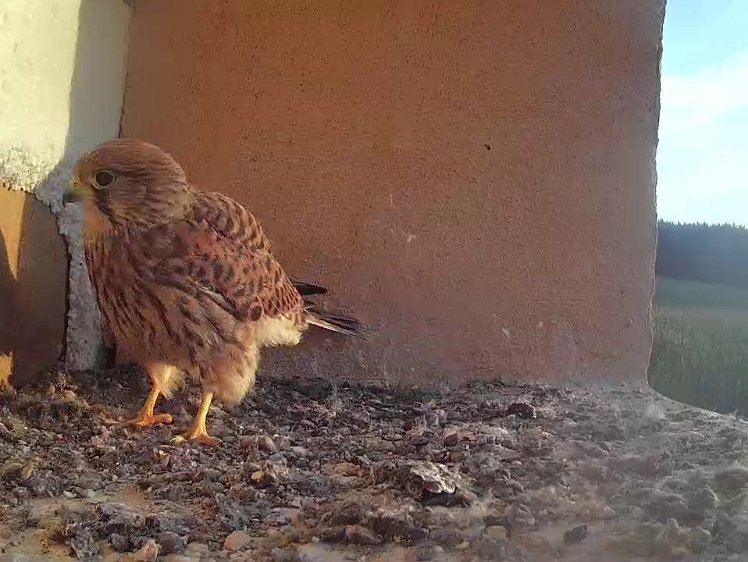 Frame_2021-08-12_06-59-59 06:59