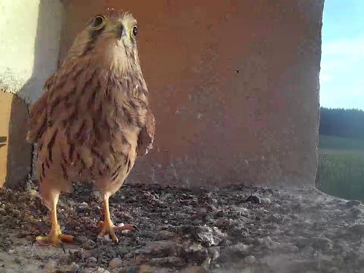 Frame_2021-08-12_07-01-30 07:01