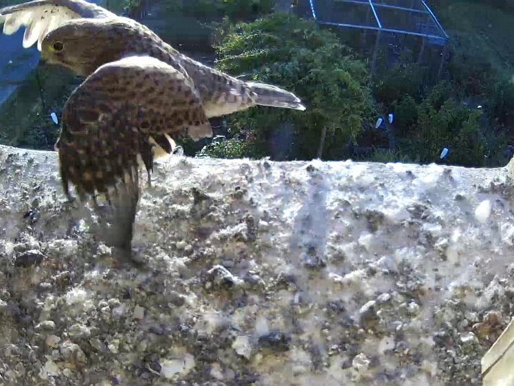 Frame_2021-08-12_07-06-43 07:06