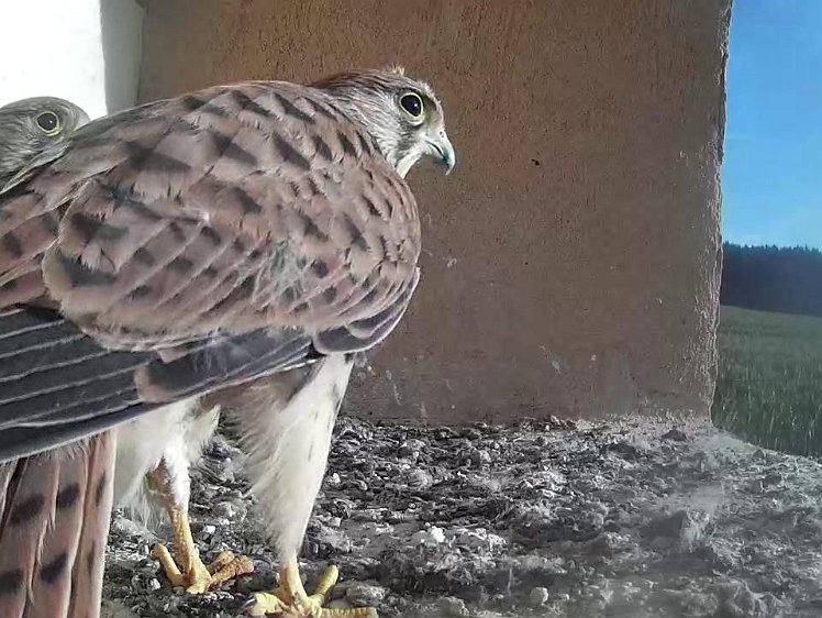 Frame_2021-08-12_08-01-16 08:01