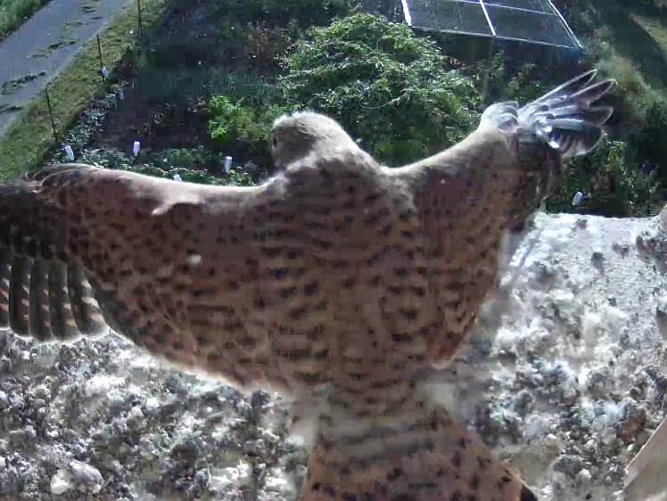 Frame_2021-08-12_08-07-06 08:07