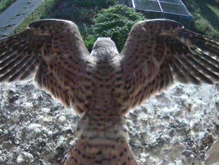 Frame_2021-08-12_08-07-31 08:07