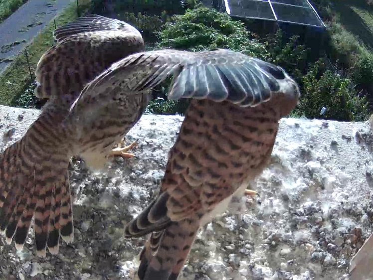 Frame_2021-08-12_08-12-18 08:12