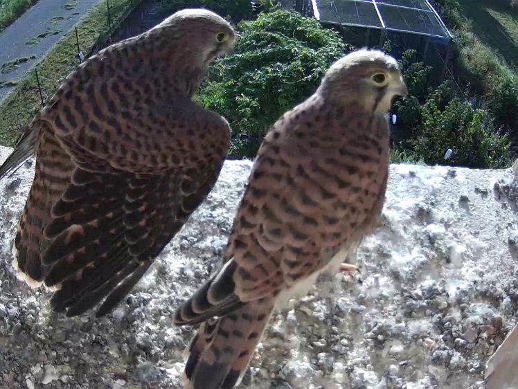 Frame_2021-08-12_08-12-24 08:12