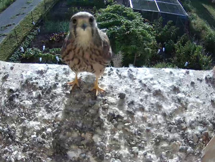 Frame_2021-08-12_08-13-21 08:13