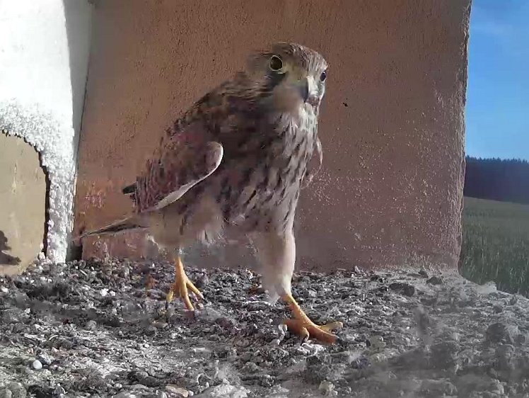 Frame_2021-08-12_08-16-01 08:16