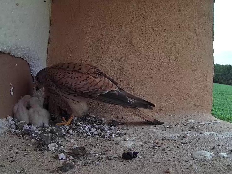 Frame_2021-07-12_17-14-40