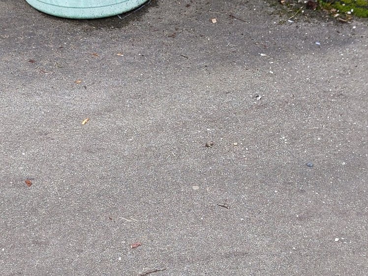 20210714_PXL110907313_Pixel3a-JEB dropped outside