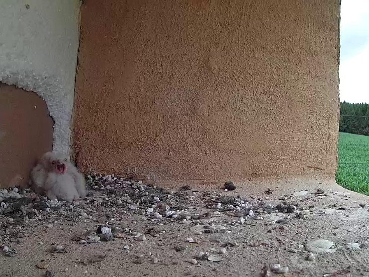 Frame_2021-07-14_12-01-57 12:01 I'm hungry