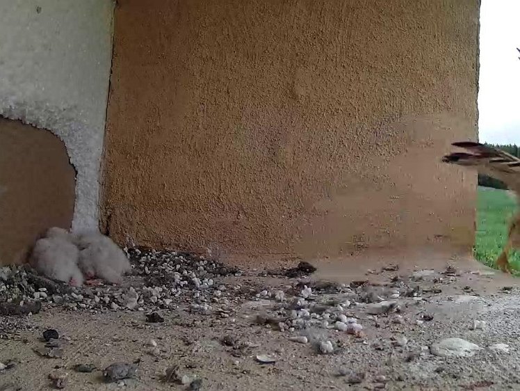 Frame_2021-07-14_14-39-31 Flying off and ...