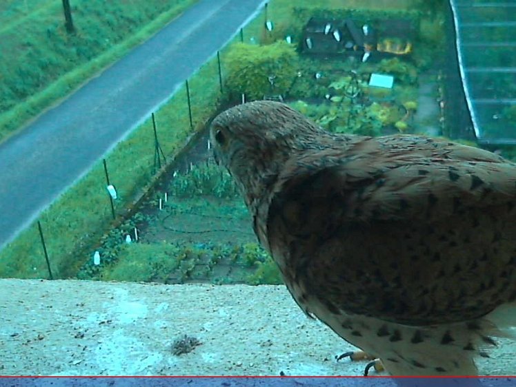 202107150553 05:33 Too wet