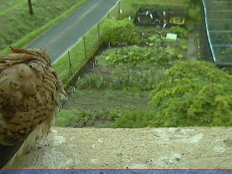 202107150800 08:00 Wet out. Is that something moving?