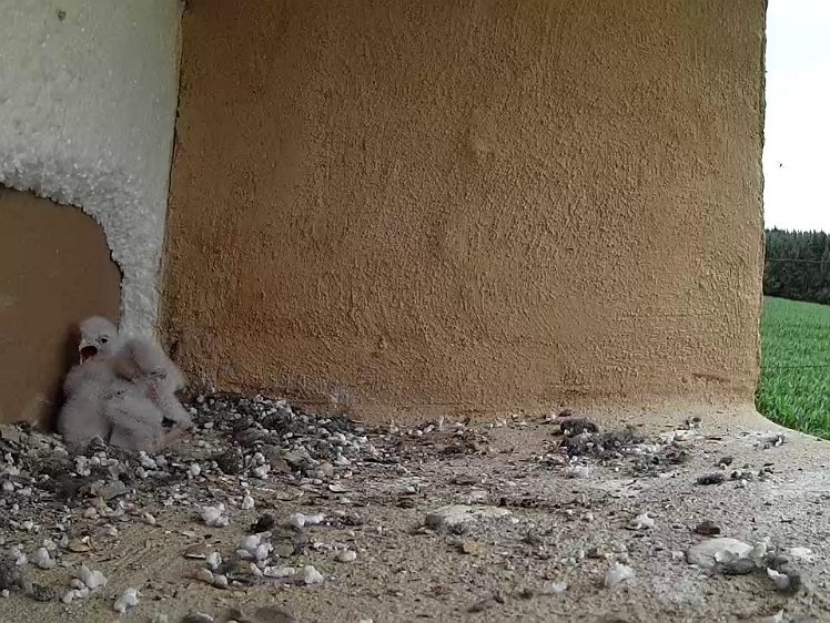 Frame_2021-07-15_10-08-30 15:10 Still hungry