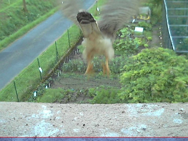 202107160722 07:22 takeoff