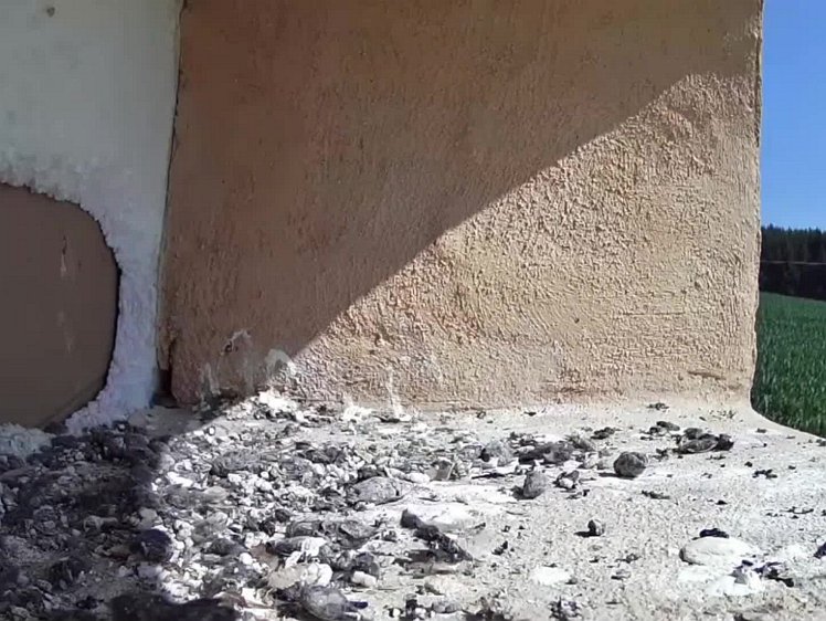 20210720_104928_edit1 video 10:46 the cock brings some food (t 2'38")