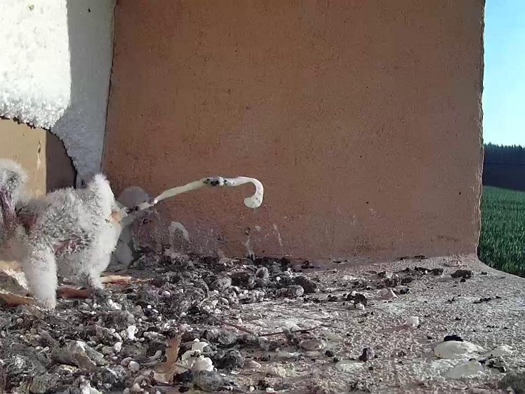 Frame_2021-07-20_07-38-57 07:38 stand well clear!