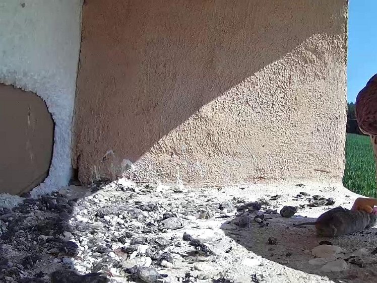 Frame_2021-07-20_10-41-56 10:41 back with food