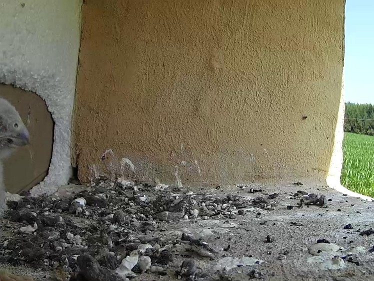 Frame_2021-07-20_12-57-12 12:57