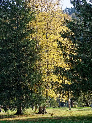 20221029_XA293739_EM1II_DxO-wp