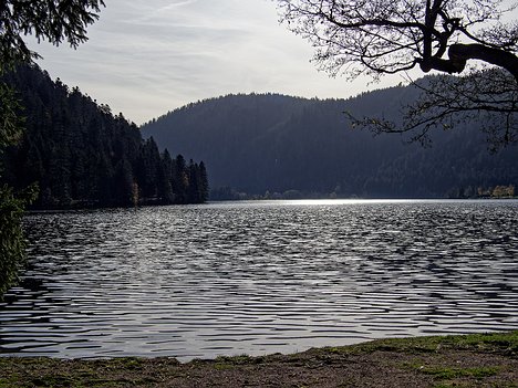 20221029_XA293740_EM1II_DxO-wp