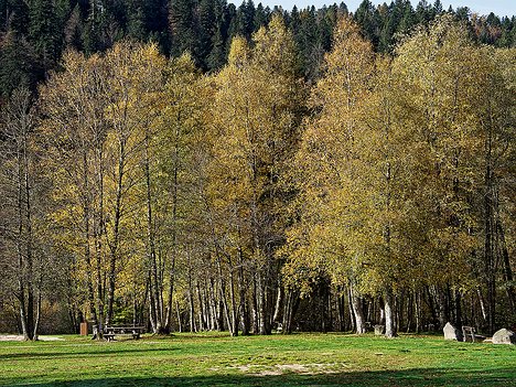 20221029_XA293741_EM1II_DxO-wp