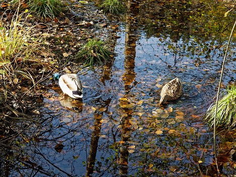 20221029_XA293742_EM1II_DxO-wp